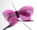 207809 Veren vlinder donker roze licht roze